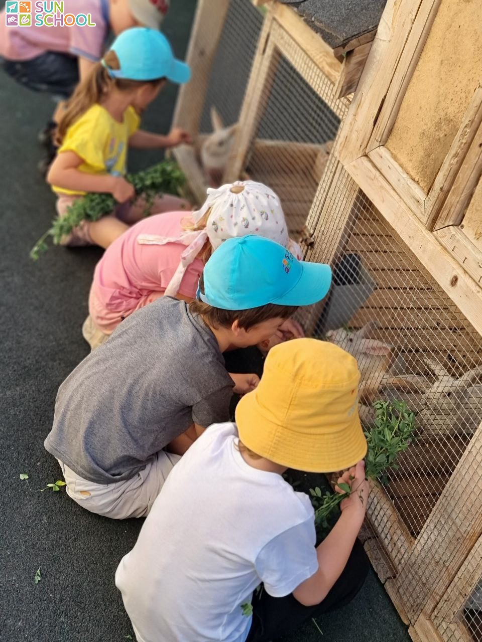 photo 2023 03 19 15 37 photo 2023 03 19 15 37