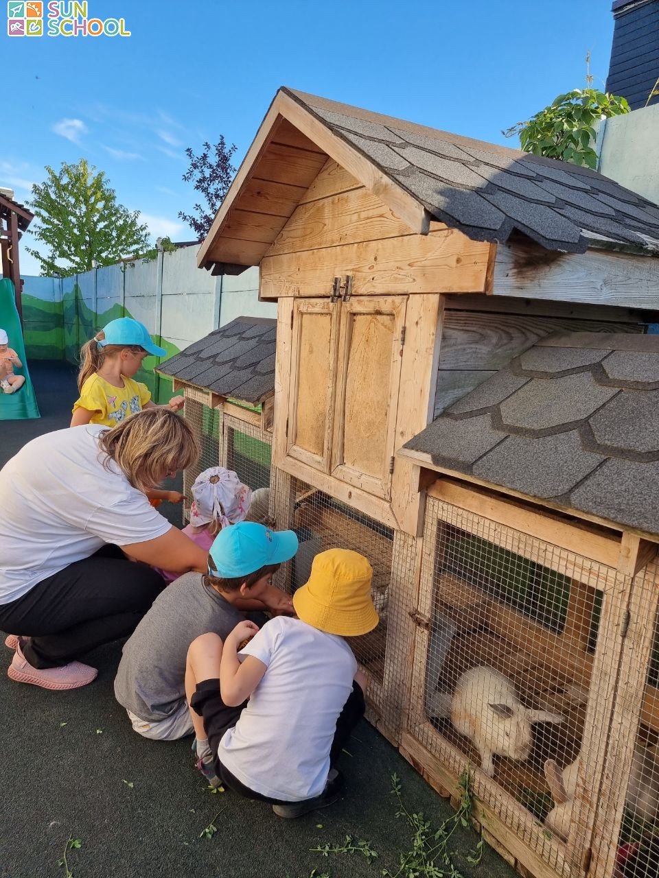 photo 2023 03 19 15 37 photo 2023 03 19 15 37