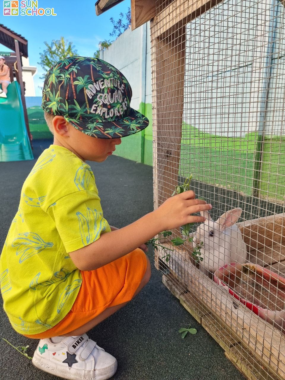 photo 2023 03 19 15 photo 2023 03 19 15