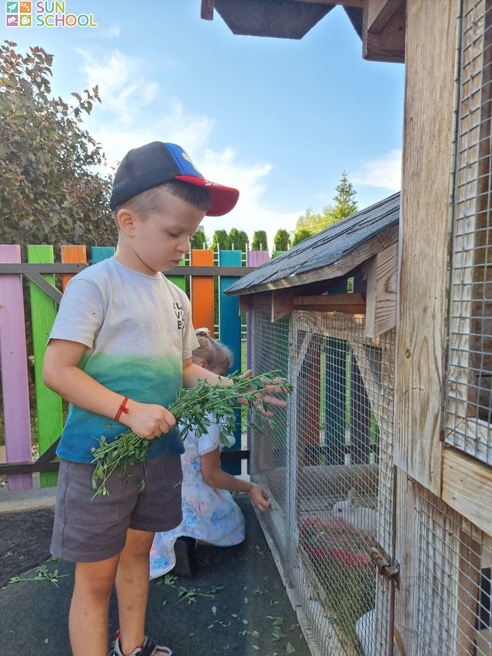 photo 2023 03 19 15 37 photo 2023 03 19 15 37